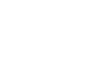 BRILLIUS GROUP